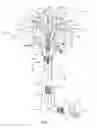 Fig. 08 - INTAKE ASSEMBLIES FOR WIND-ENERGY CONVERSION SYSTEMS AND METHODS
