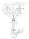 Fig. 11 - INTAKE ASSEMBLIES FOR WIND-ENERGY CONVERSION SYSTEMS AND METHODS