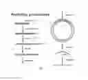 Fig. 10 - Reversible shape memory polymers exhibiting ambient actuation triggering