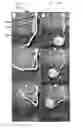 Fig. 07 - Soft actuators and soft actuating devices