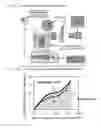 Fig. 12 - Soft actuators and soft actuating devices