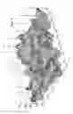 Fig. 05 - Fibrillar structures to reduce viscous drag on aerodynamic and hydrodynamic wall surfaces