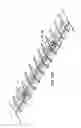 Fig. 10 - Fibrillar structures to reduce viscous drag on aerodynamic and hydrodynamic wall surfaces
