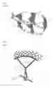 Fig. 02 - Snap ring having easily replaceable support