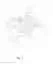 Fig. 08 - SHIFTER FOR MANUAL TRANSMISSION