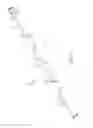 Fig. 05 - Adjustable operating rod for a hydrant