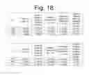 Fig. 19 - Vehicle lighting fixture