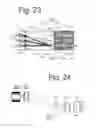 Fig. 24 - Vehicle lighting fixture