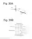 Fig. 28 - Vehicle lighting fixture