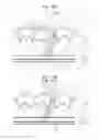 Fig. 17 - Illumination device