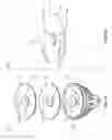 Fig. 02 - COMPOUND LIGHT CONTROL LENS FIELD