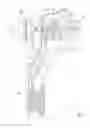 Fig. 06 - Gas device with increased fuel evaporation efficiency