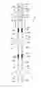 Fig. 04 - Shooting rests and pole assemblies