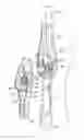 Fig. 46 - Shooting rests and pole assemblies