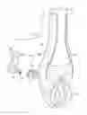 Fig. 48 - Shooting rests and pole assemblies