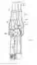 Fig. 59 - Shooting rests and pole assemblies