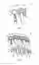 Fig. 04 - ARROW QUIVER ASSEMBLY AND FRAME