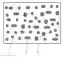 Fig. 01 - Ballistic resistant article and process to manufacture said article