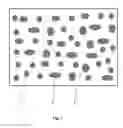 Fig. 02 - Ballistic resistant article and process to manufacture said article