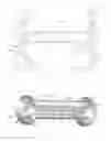 Fig. 15 - Photonic article, process for making and using same