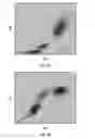 Fig. 06 - Basophil analysis system and method