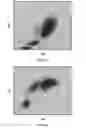 Fig. 08 - Basophil analysis system and method