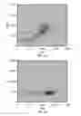 Fig. 06 - Nucleated red blood cell analysis system and method