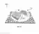 Fig. 15 - Monolayer of nanorods on a substrate and method of forming the same