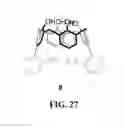 Fig. 28 - Sensor and method of detecting an analyte using 19F NMR