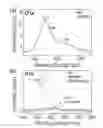 Fig. 03 - Biochip comprising covalently immobilized bioactive molecules through organic couplers thereon