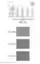 Fig. 05 - DIELECTROPHORETIC CELL CAPTURE
