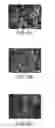 Fig. 07 - DIELECTROPHORETIC CELL CAPTURE