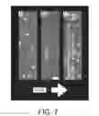 Fig. 08 - DIELECTROPHORETIC CELL CAPTURE