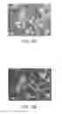 Fig. 09 - DIELECTROPHORETIC CELL CAPTURE