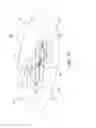 Fig. 13 - DIELECTROPHORETIC CELL CAPTURE