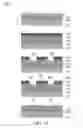 Fig. 15 - DIELECTROPHORETIC CELL CAPTURE