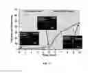 Fig. 06 - MICROFLUIDIC DEVICE FOR DETECTING NUCLEIC ACIDS AND ASSOCIATED METHODS