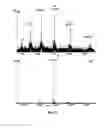 Fig. 11 - SYSTEM AND METHODS FOR IONIZING COMPOUNDS USING MATRIX-ASSISTANCE FOR MASS SPECTROMETRY AND ION MOBILITY SPECTROMETRY