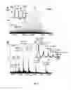 Fig. 26 - SYSTEM AND METHODS FOR IONIZING COMPOUNDS USING MATRIX-ASSISTANCE FOR MASS SPECTROMETRY AND ION MOBILITY SPECTROMETRY
