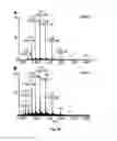 Fig. 29 - SYSTEM AND METHODS FOR IONIZING COMPOUNDS USING MATRIX-ASSISTANCE FOR MASS SPECTROMETRY AND ION MOBILITY SPECTROMETRY