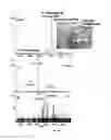 Fig. 41 - SYSTEM AND METHODS FOR IONIZING COMPOUNDS USING MATRIX-ASSISTANCE FOR MASS SPECTROMETRY AND ION MOBILITY SPECTROMETRY