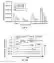 Fig. 07 - Functionalized Metal Oxides As A Stationary Phase And A Surface Template For Micro Gas Chromatography Separation Columns