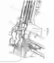 Fig. 09 - Positioning guides and ion sources