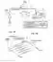 Fig. 02 - Preparative separation chromatograph system
