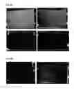 Fig. 07 - Detection of gas-phase analytes using liquid crystals