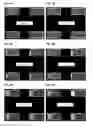 Fig. 09 - Detection of gas-phase analytes using liquid crystals
