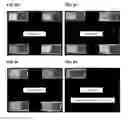 Fig. 10 - Detection of gas-phase analytes using liquid crystals
