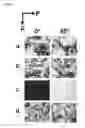 Fig. 46 - Detection of gas-phase analytes using liquid crystals