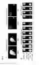 Fig. 52 - Detection of gas-phase analytes using liquid crystals