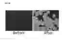 Fig. 62 - Detection of gas-phase analytes using liquid crystals
